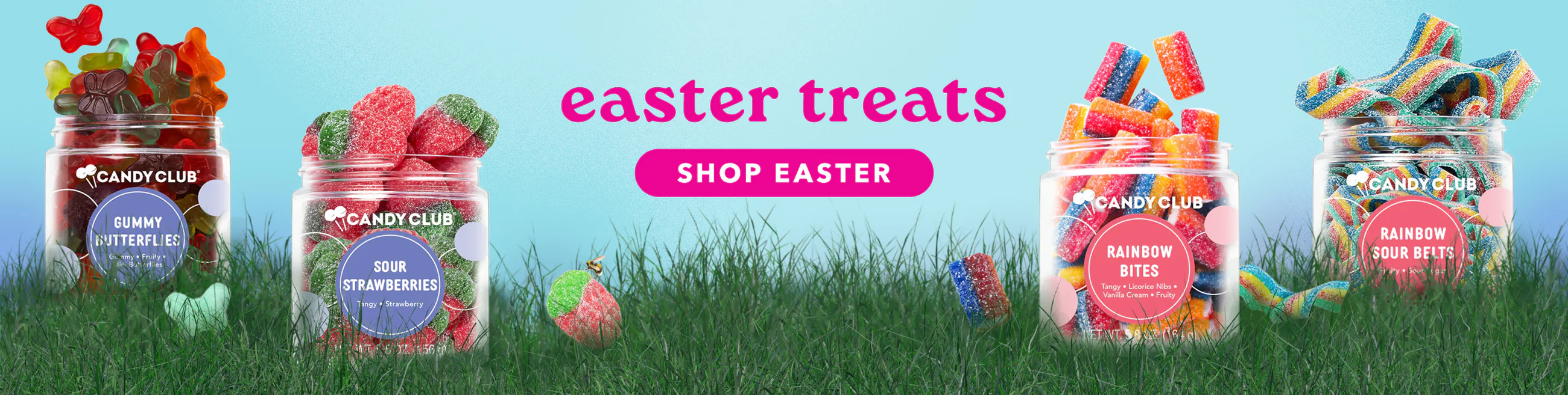 Sweet Moments Delivered Daily